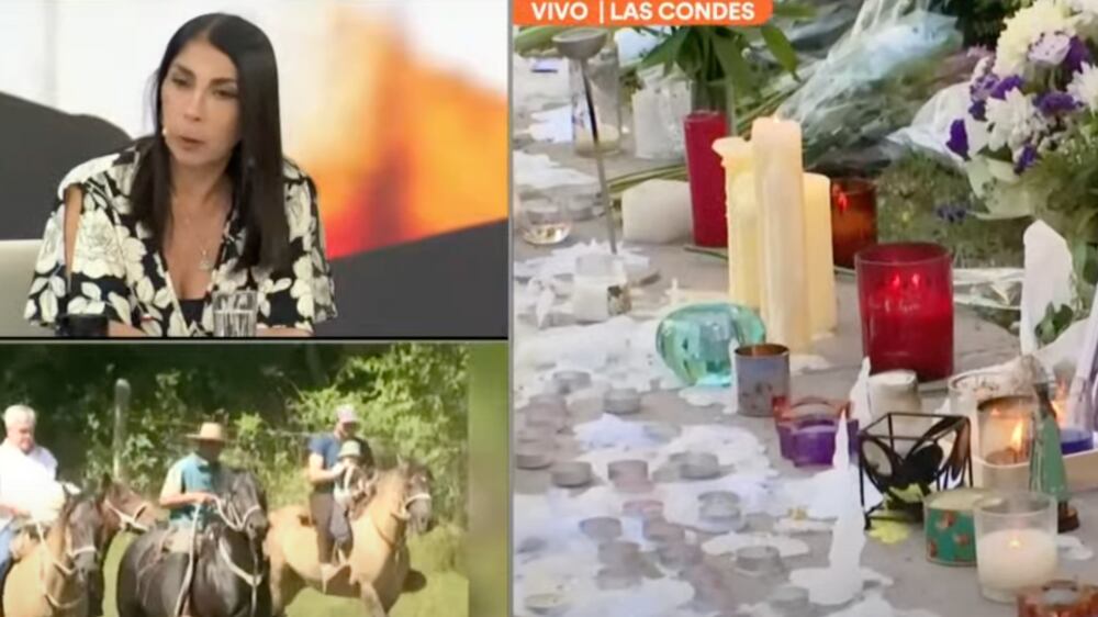 Karla Rubilar | Captura: Canal 13