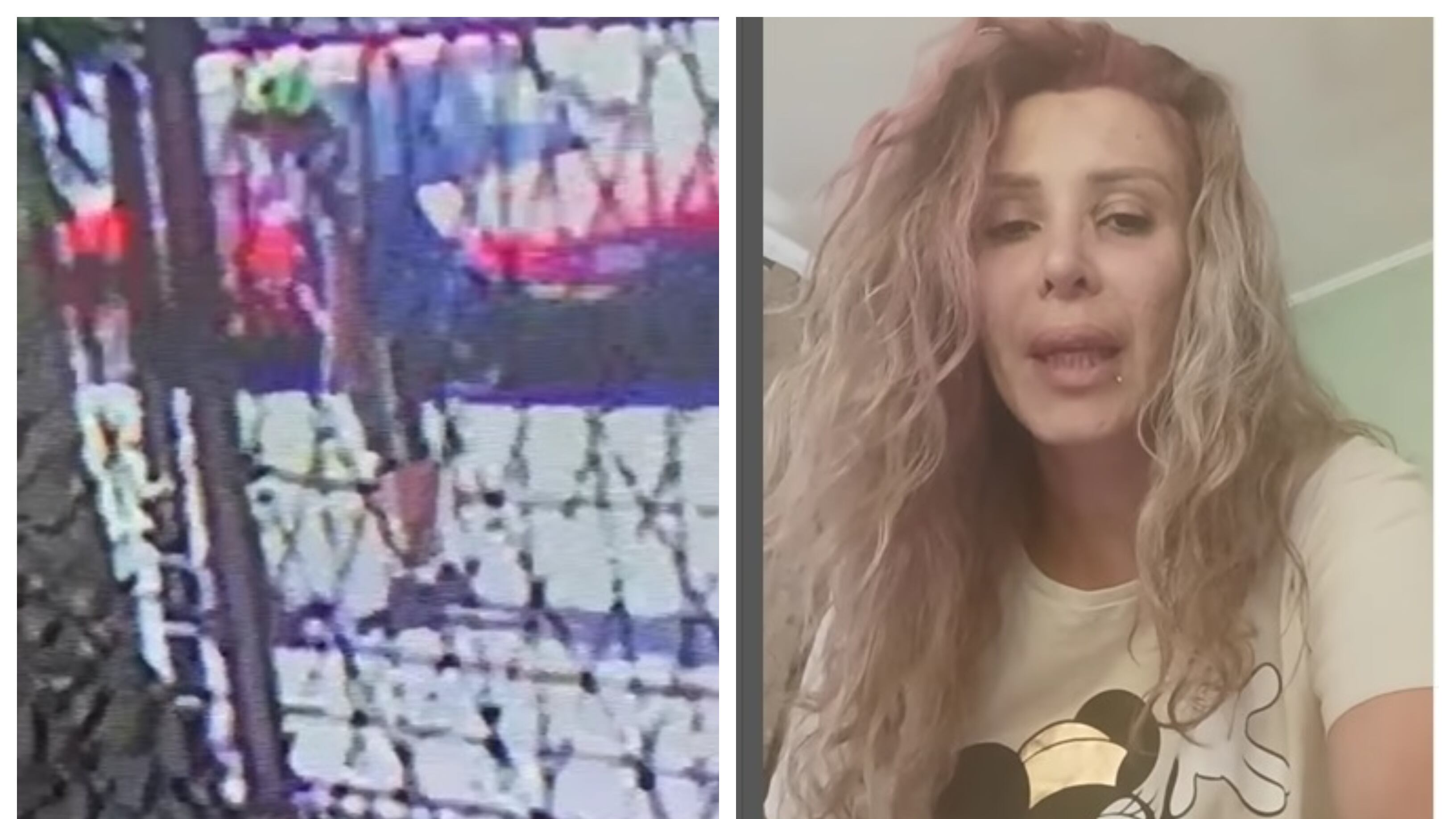 Romina Sáez pidió a las personas que se llevaron a su mascota que se la entreguen, ya que la perrita padece de una seria enfermedad.