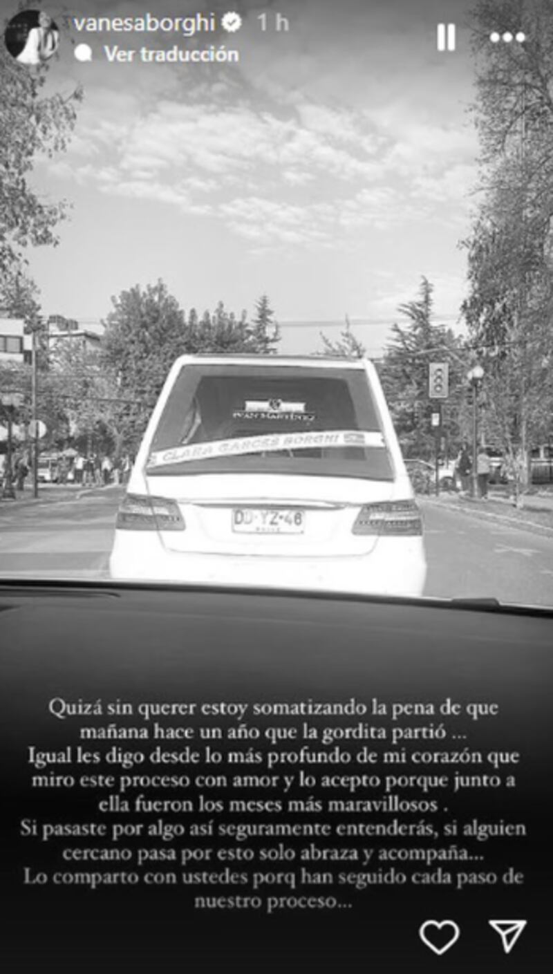 Historia de Vanesa Borghi | Instagram
