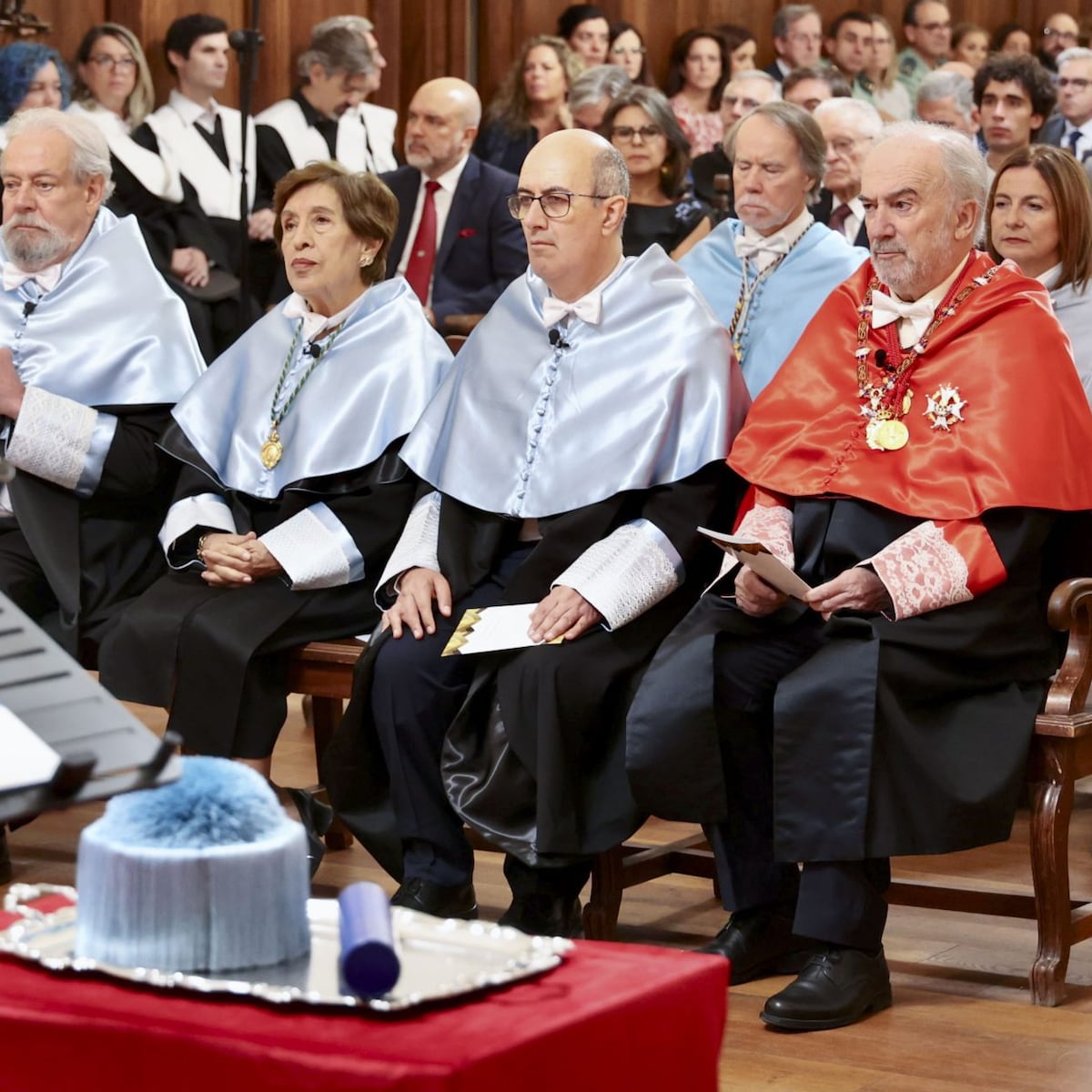 RAE incorpora el término 'pelotudo' al diccionario RAE incorpora el término 'pelotudo' al diccionario