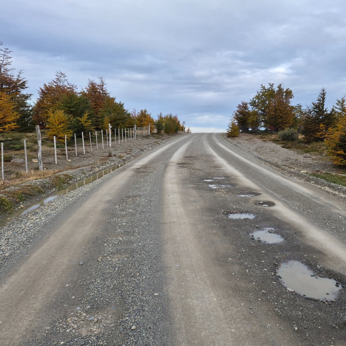 Ministerio de Obras Públicas publica licitaciones para reactivar mantenimiento de caminos Ministerio de Obras Públicas publica licitaciones para reactivar mantenimiento de caminos