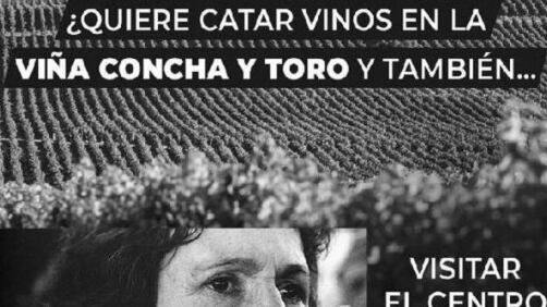 Flyer de Fundación Futuro