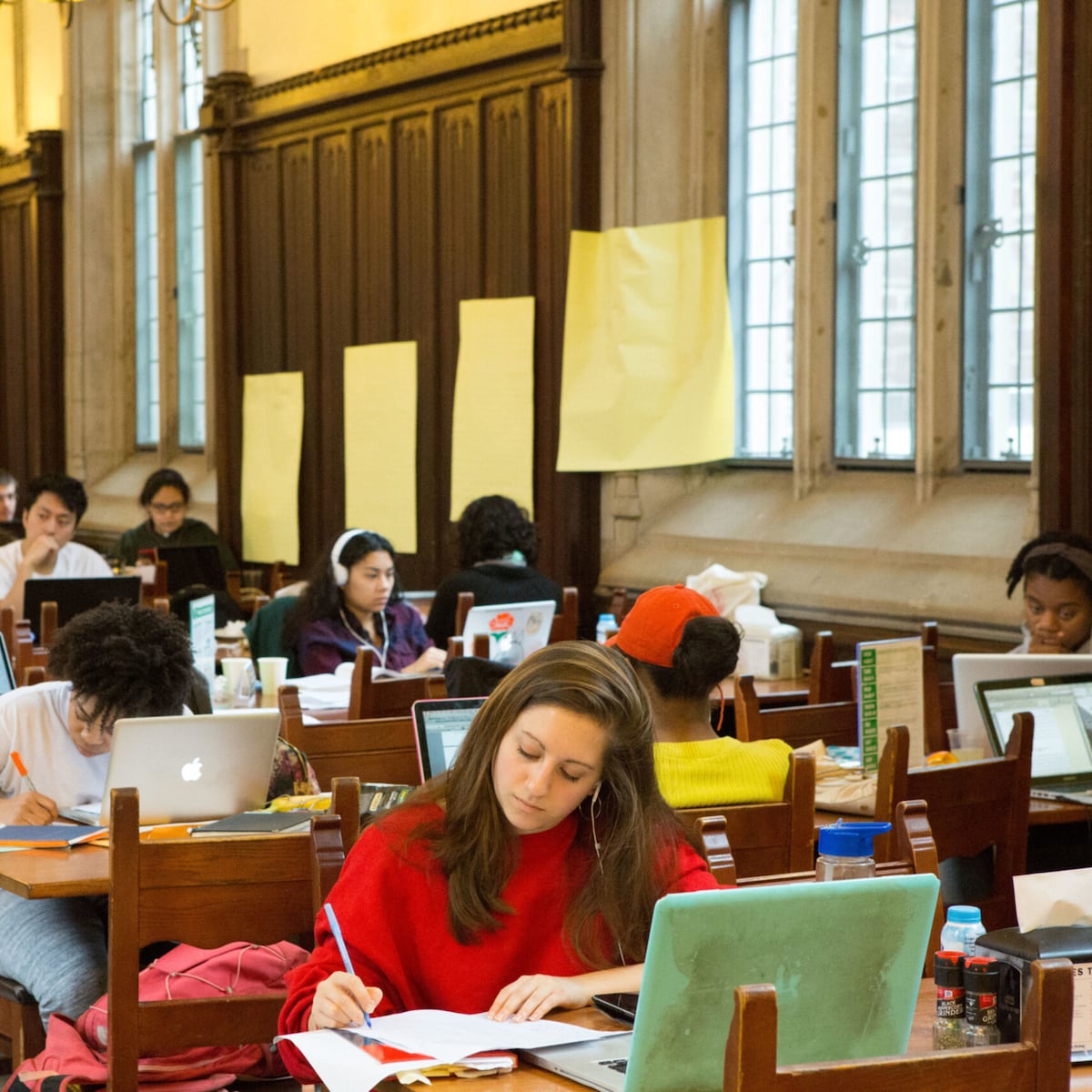 Mujeres representan el 52,9% de matrículas en educación superior Mujeres representan el 52,9% de matrículas en educación superior