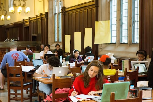 Mujeres lideran ingreso a la educación superior: representan el 52,9% de las matrículas de primer año