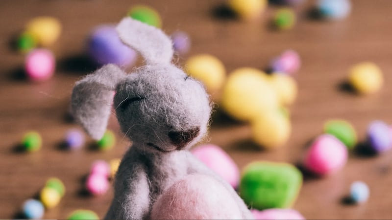 Día de pascua sin huevos: estadounidenses buscan otras alternativas por altos precios