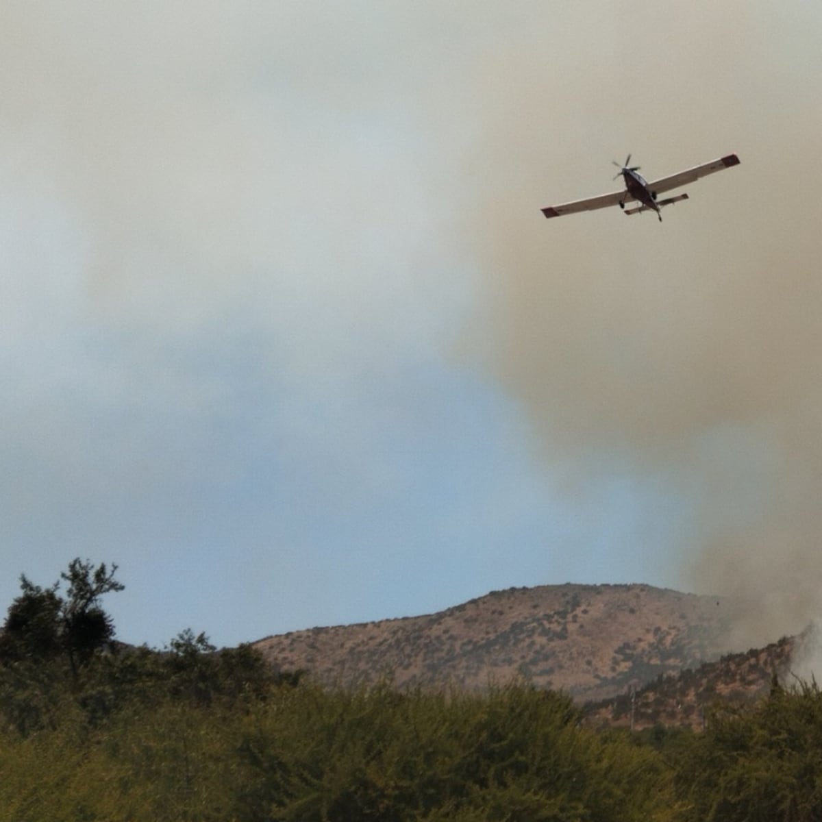 Incendio forestal en Talagante: 177 hectáreas consumidas Incendio forestal en Talagante: 177 hectáreas consumidas