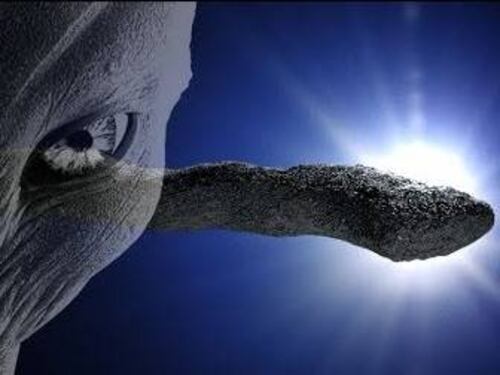 ¡Extraterrestres ‘frente a nuestras narices’! Científico de Harvard asegura su existencia