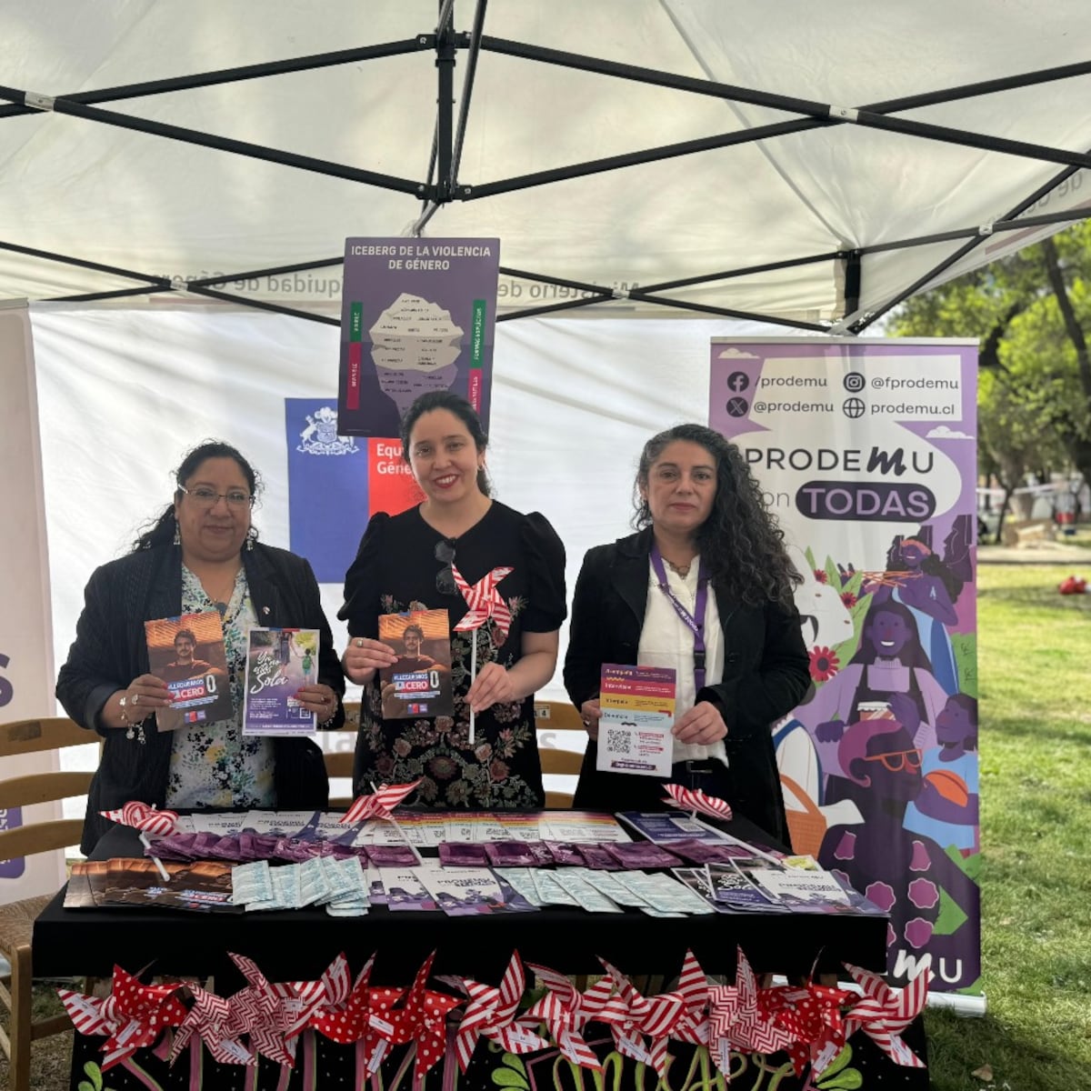 Ministerio de la Mujer instala Punto Morado en fondas del Parque O’Higgins Ministerio de la Mujer instala Punto Morado en fondas del Parque O’Higgins