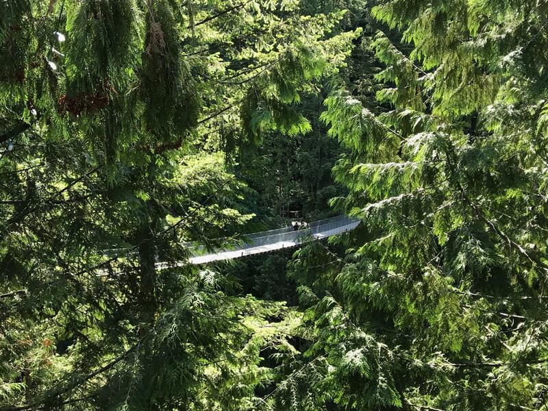 Rodeada de montañas, bosques y el Océano Pacífico, esta ciudad combina naturaleza, cultura y vida urbana como pocas ciudades en el mundo. Foto: Said Pulido.