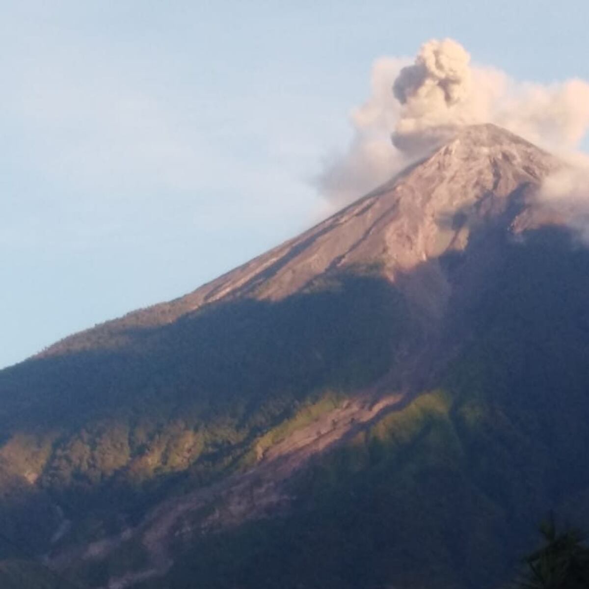 Volcán de Fuego en Guatemala entra en fase de erupción masiva Volcán de Fuego en Guatemala entra en fase de erupción masiva