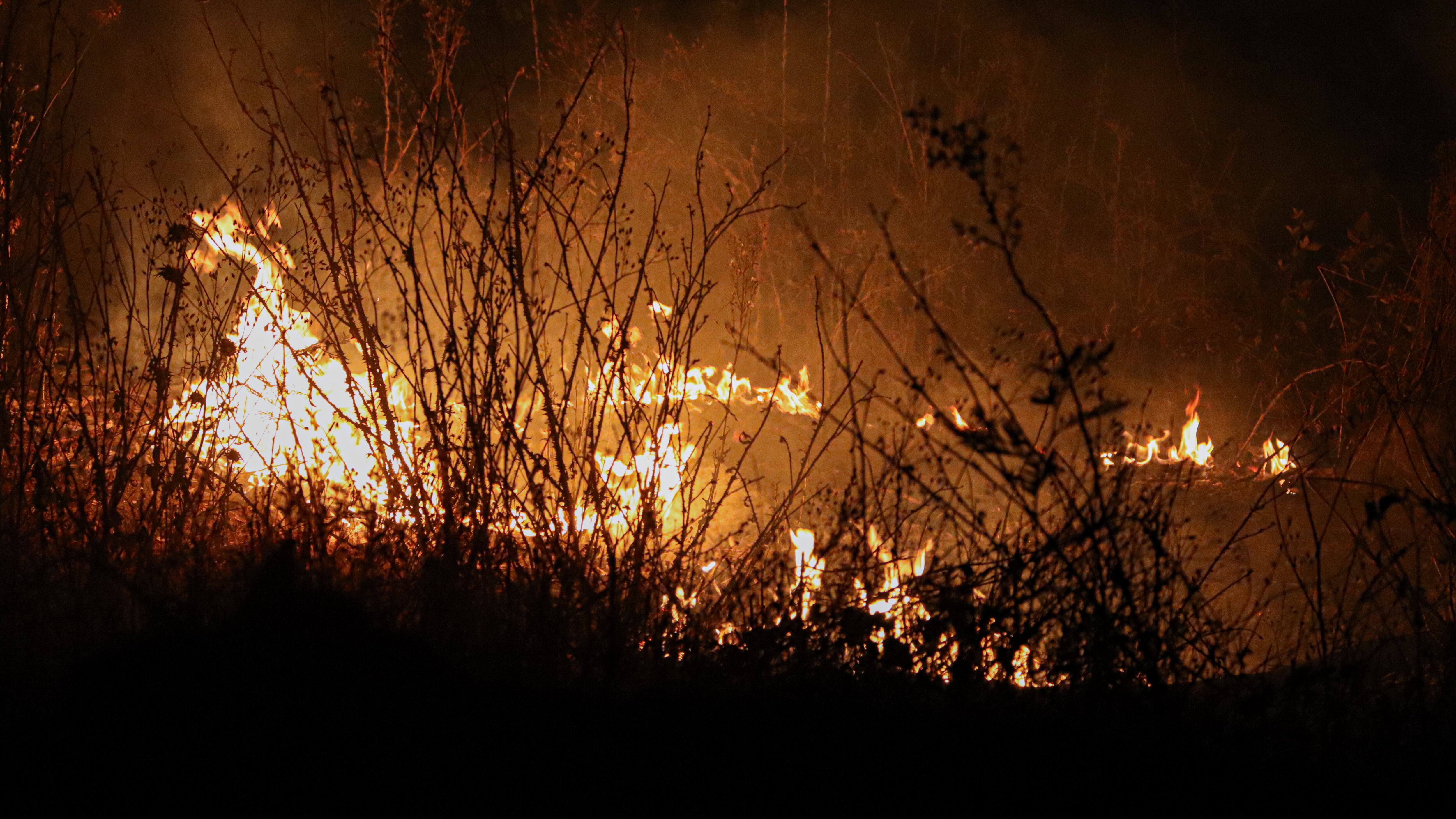 Incendio Forestal (imagen de referencia) | Agenda Uno