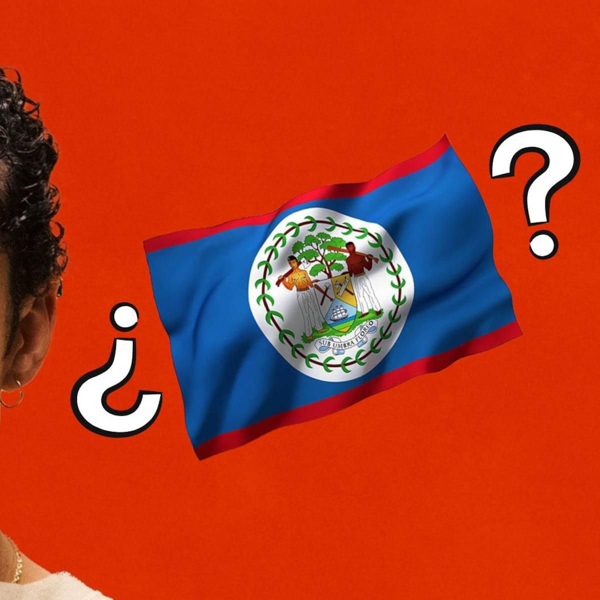 Belice ausente en cierre del Halftime del Super Bowl Belice ausente en cierre del Halftime del Super Bowl