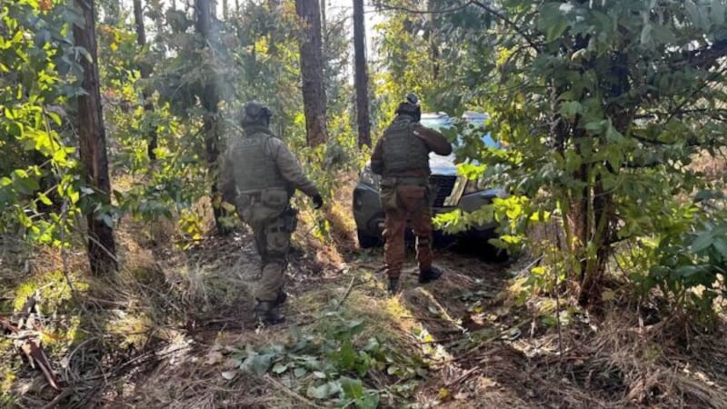 Cazadores fueron obligados a huir en ropa interior tras asalto armado: mataron a tres de sus perros