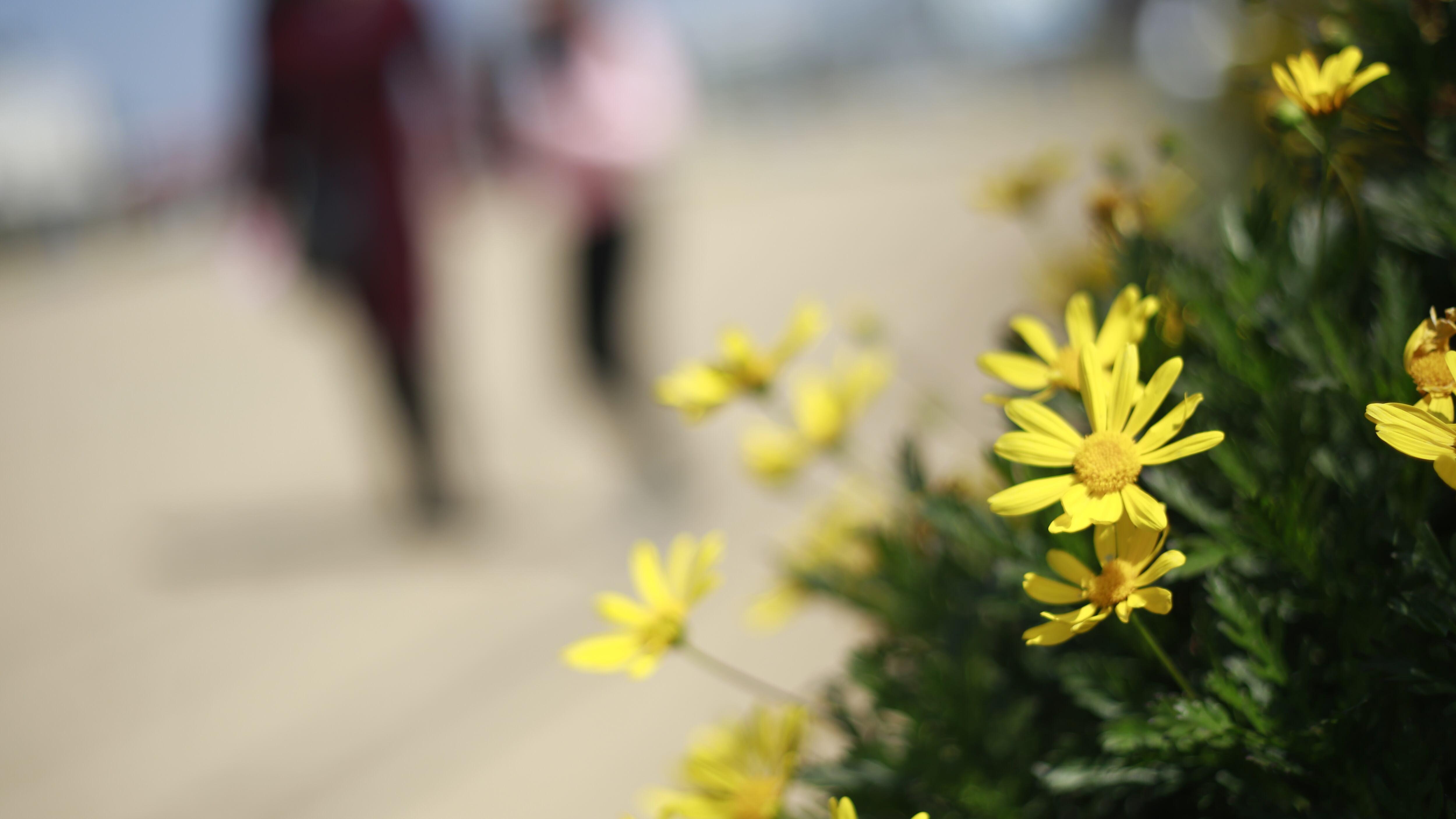 Depresión estacional