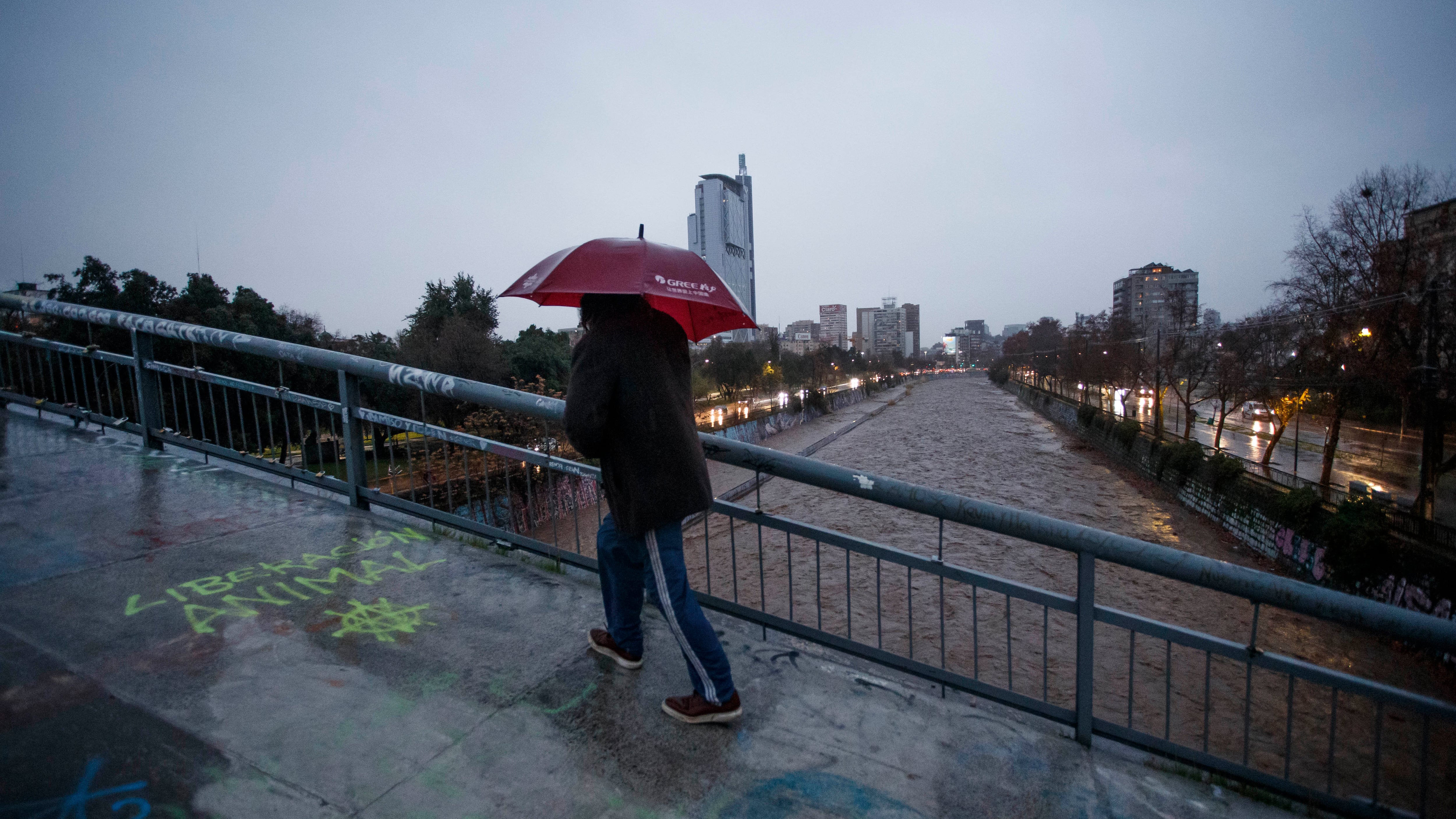 Lluvias: 21 de junio 2024 | 21 de julio 2024 / SANTIAGO
Un nuevo sistema frontal azota la zona central del país.
FRANCISCO PAREDES / AGENCIA UNO