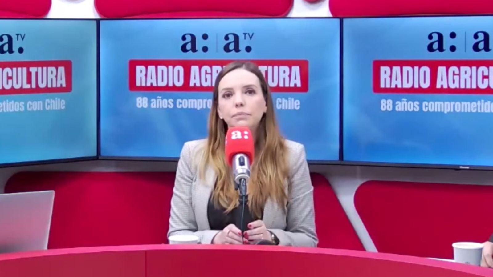 Diputada Camila Flores