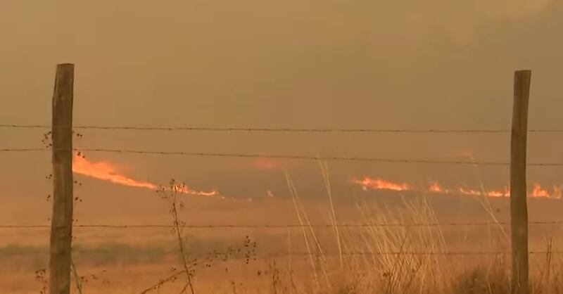 Múltiples evacuaciones por incendios forestales en La Araucanía.