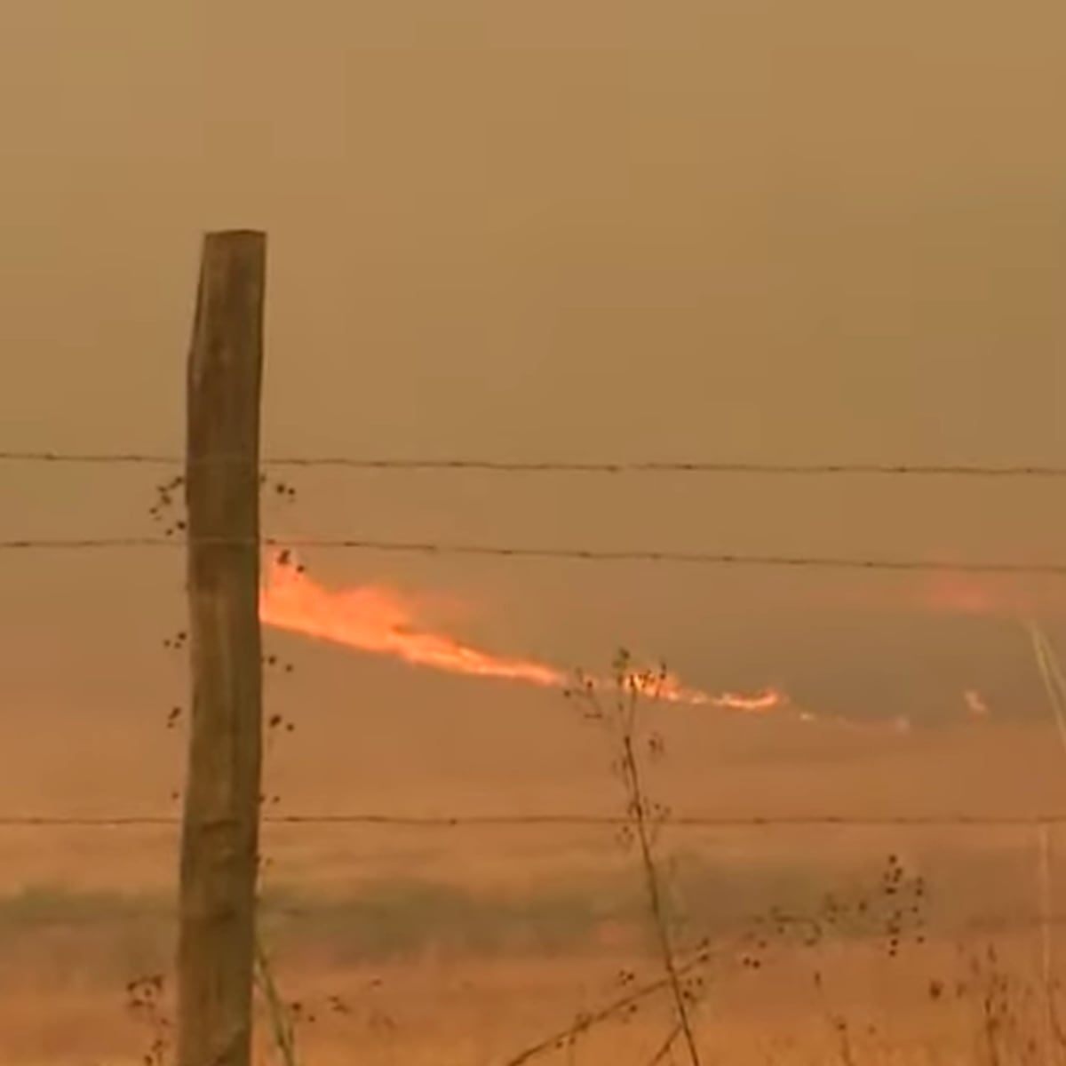 Impunidad en incendios forestales: 75% de casos sin responsables Impunidad en incendios forestales: 75% de casos sin responsables