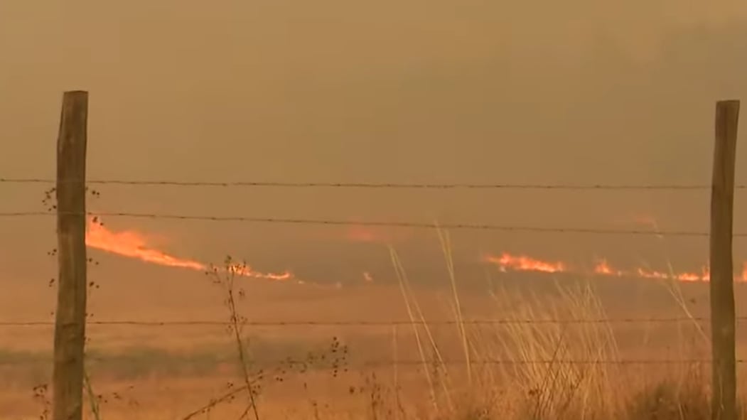 Múltiples evacuaciones por incendios forestales en La Araucanía.