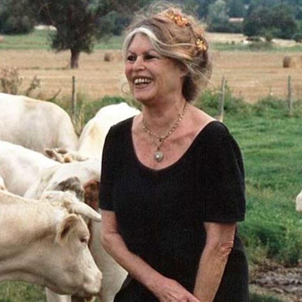 Brigitte Bardot, la musa del cine que lucha por prohibir matanza de caballos en Francia Brigitte Bardot, la musa del cine que lucha por prohibir matanza de caballos en Francia
