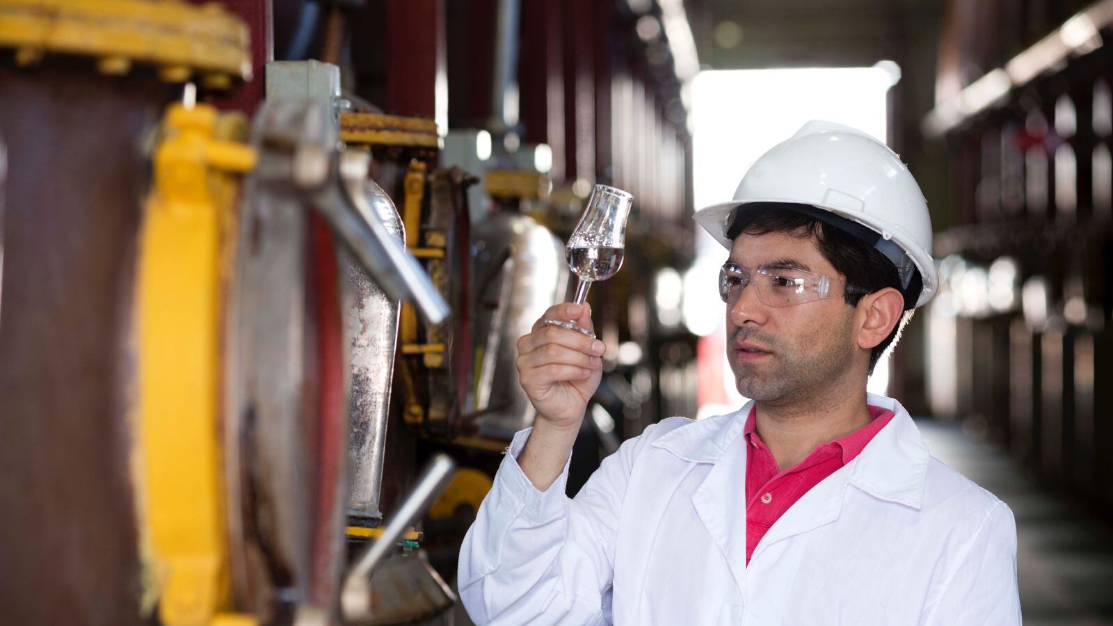 El Día del Pisco es este jueves 15 de mayo en Chile