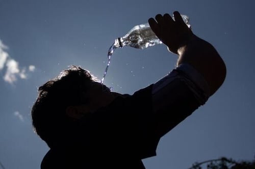 ¿Cómo combatir las altas temperaturas?: Estas soluciones permiten reducir hasta 15 °C la temperatura del hogar