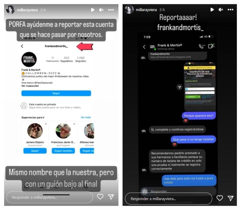 Millaray Viera denunció la suplantación de su emprendimiento en redes sociales.
