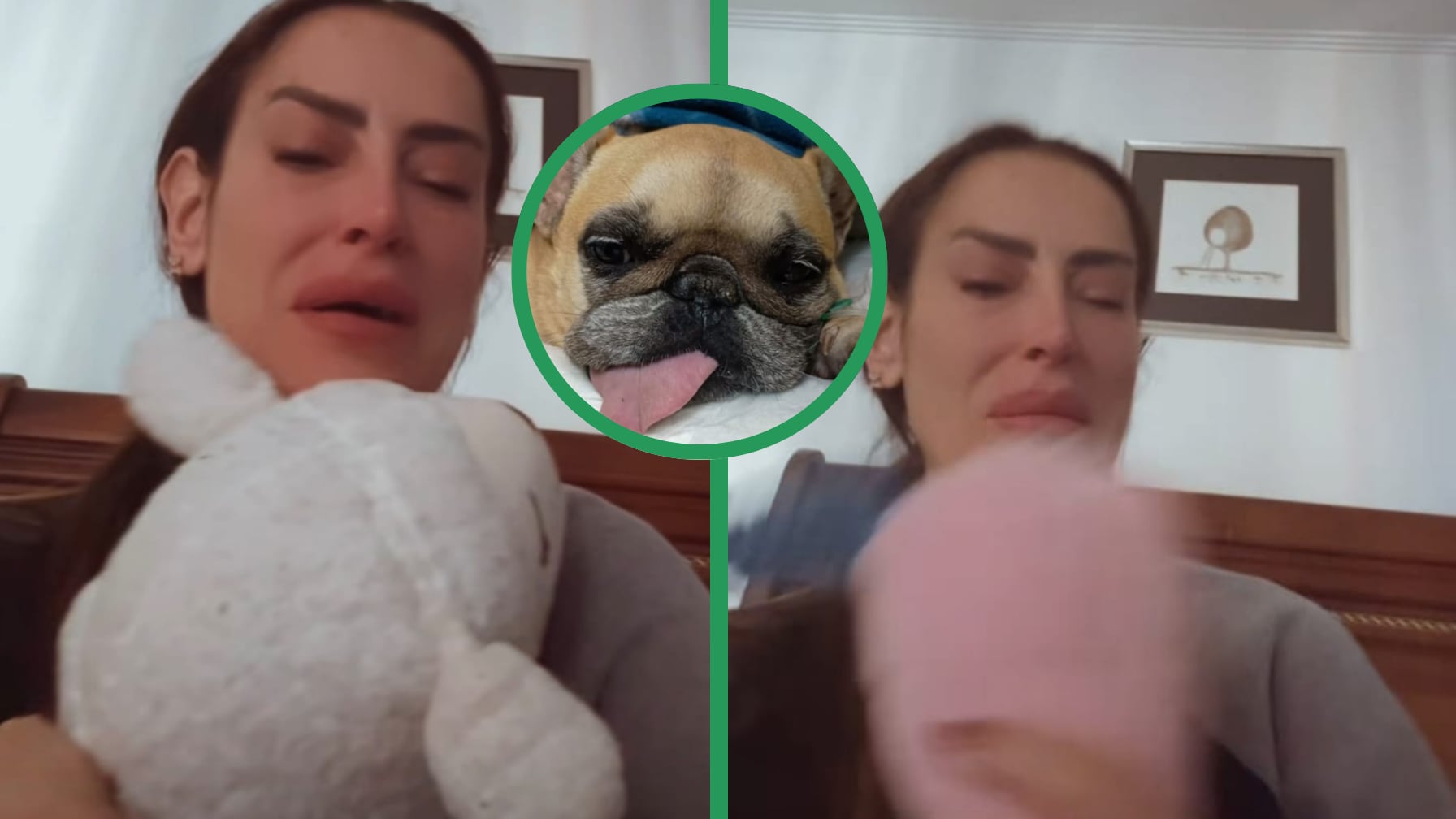 La bulldog habría cumplido 7 años y seis meses el 24 de noviembre, según contó la modelo en Instagram.