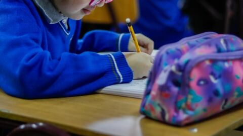 Imagen de estudiante de enseñanza básica.