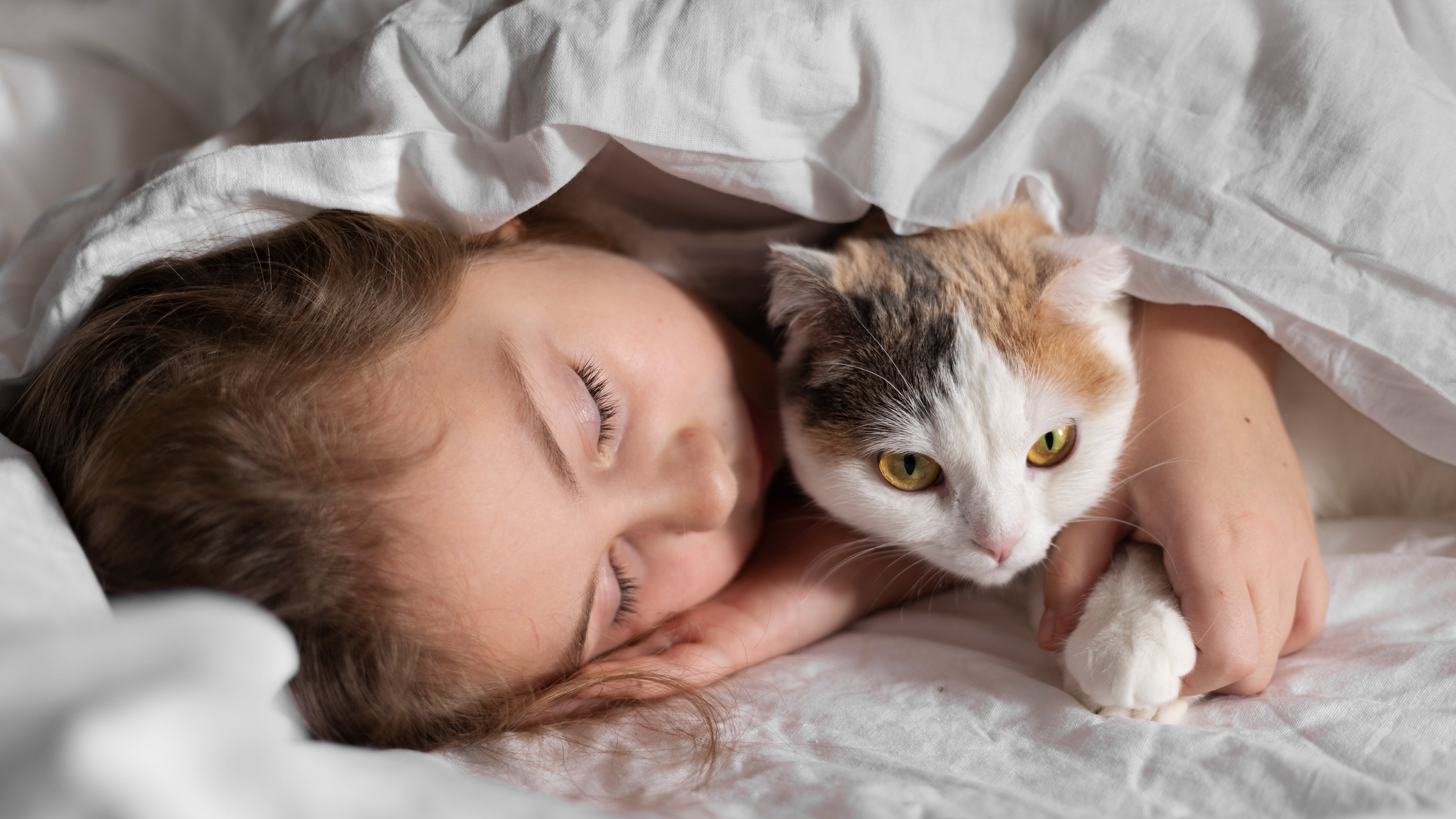 Un programa de entrenamiento de gatos dirigido a niños con discapacidades demostró beneficios tanto para los menores como para sus compañeros felinos. Foto: Magnific.