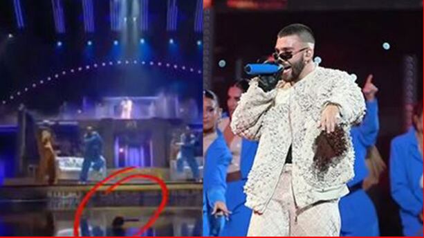 Un ratón cayó al escenario de Viña del Mar en pleno show de Manuel Turizo