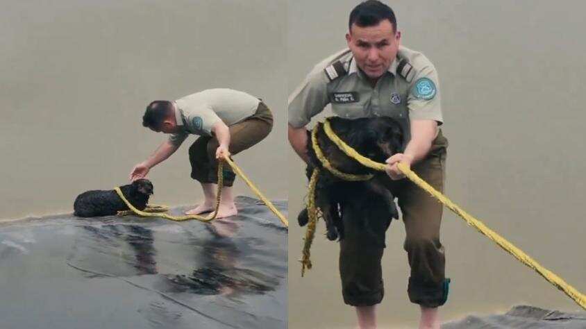 Twitter Carabineros de Chile