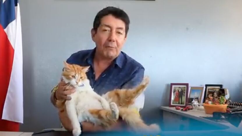 Alcalde de Antofagasta