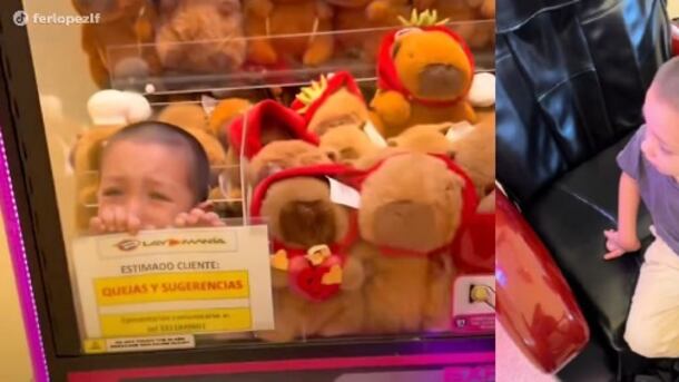 Máquina de peluches