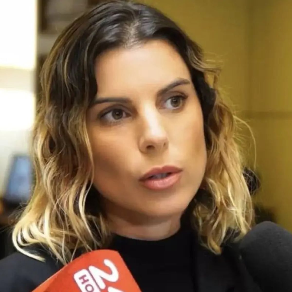 Maite Orsini busca proteger información sensible al contactar a denunciante de Valdivia Maite Orsini busca proteger información sensible al contactar a denunciante de Valdivia