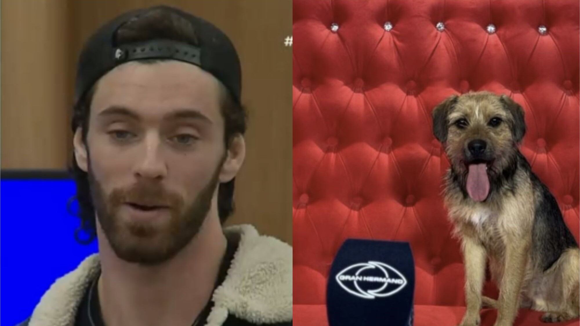 Bigote y Lucas de "Gran Hermano" | Captura