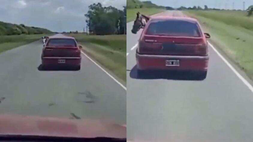 Caballo en un auto captado en Argentina
