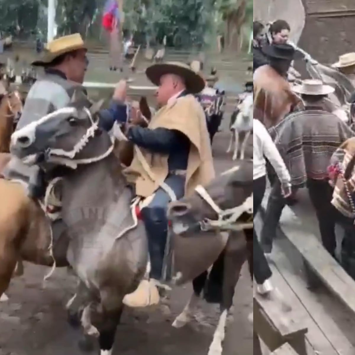 Confederación del Rodeo Chileno condena pelea entre jinetes Confederación del Rodeo Chileno condena pelea entre jinetes