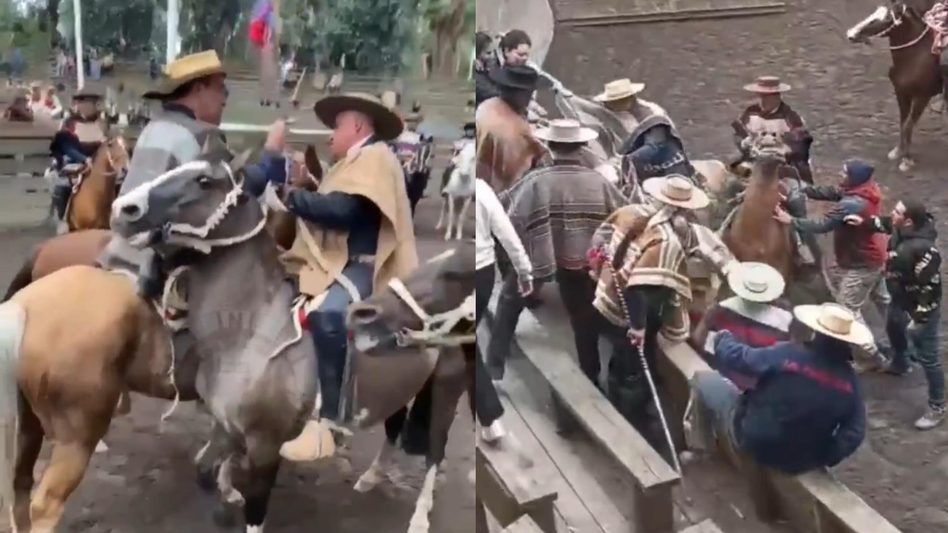 Pelea en rodeo de San Vicente de Tagua Tagua