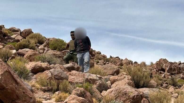 Hombre de nacionalidad boliviana detenido por cazar vicuñas