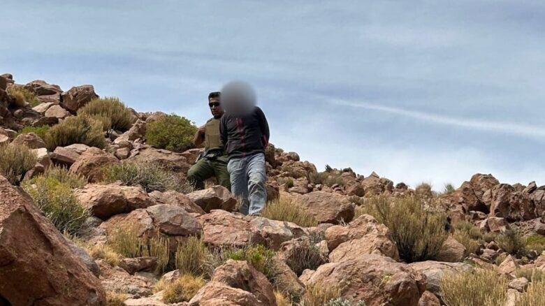 Hombre de nacionalidad boliviana detenido por cazar vicuñas