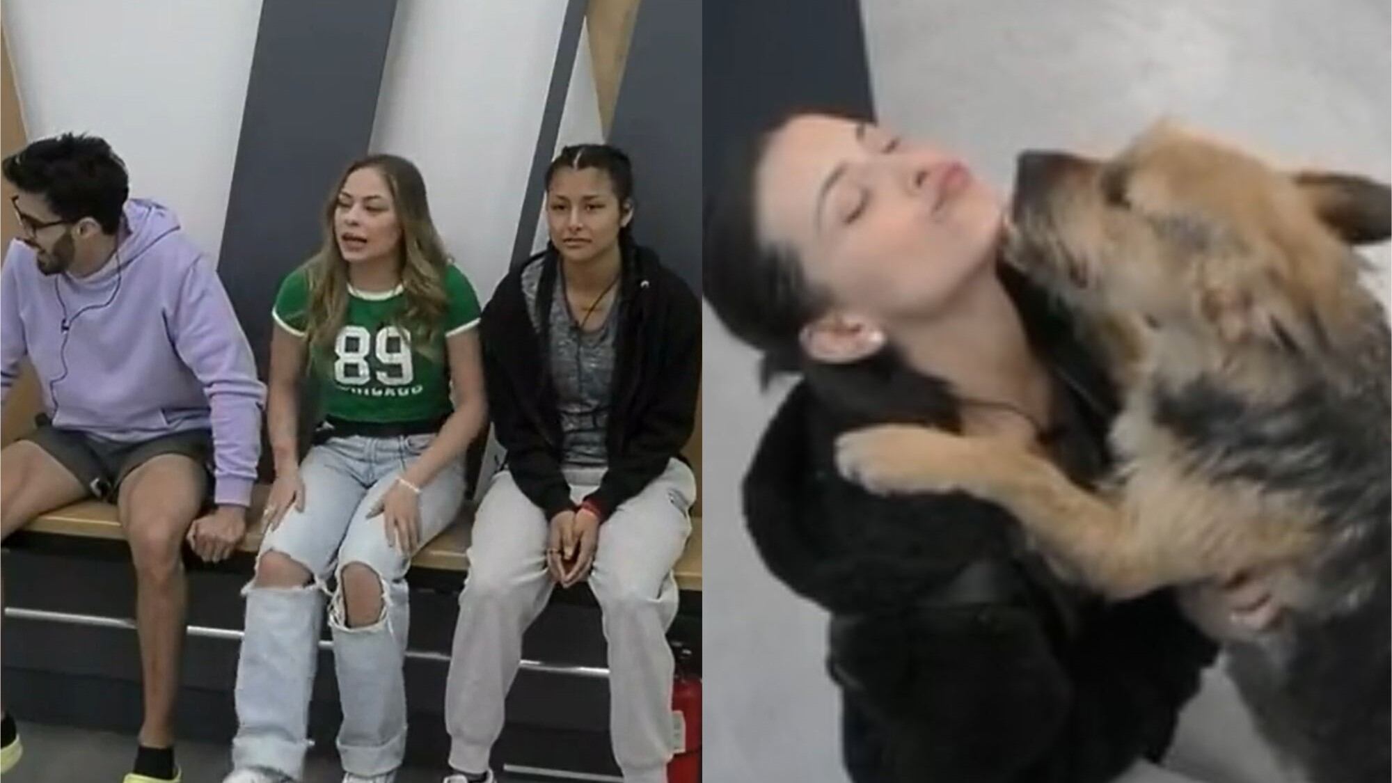 Bigote en "Gran Hermano"