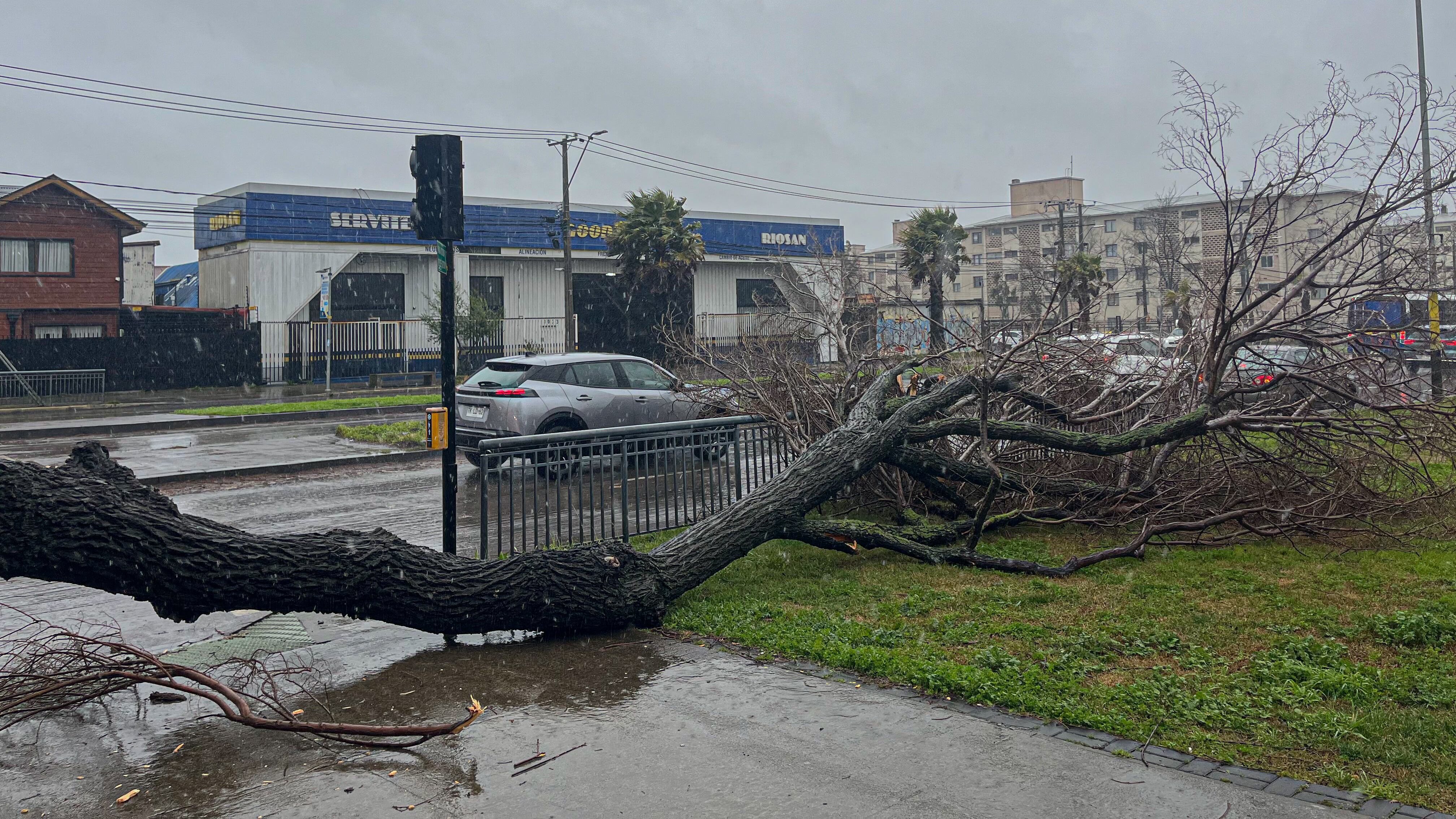 Sistema frontal en Concepción