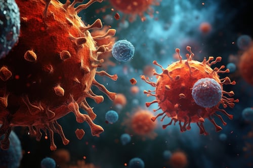 Hantavirus: cómo se transmite y cuál es su letalidad