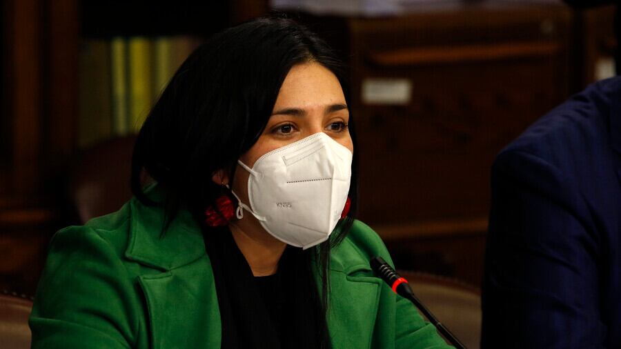 La diputada Karol Cariola