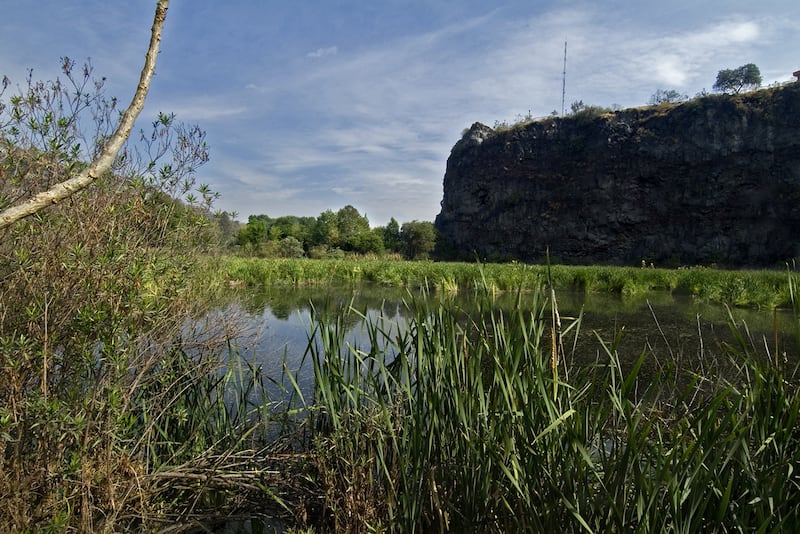 Biodiversidad en el planeta