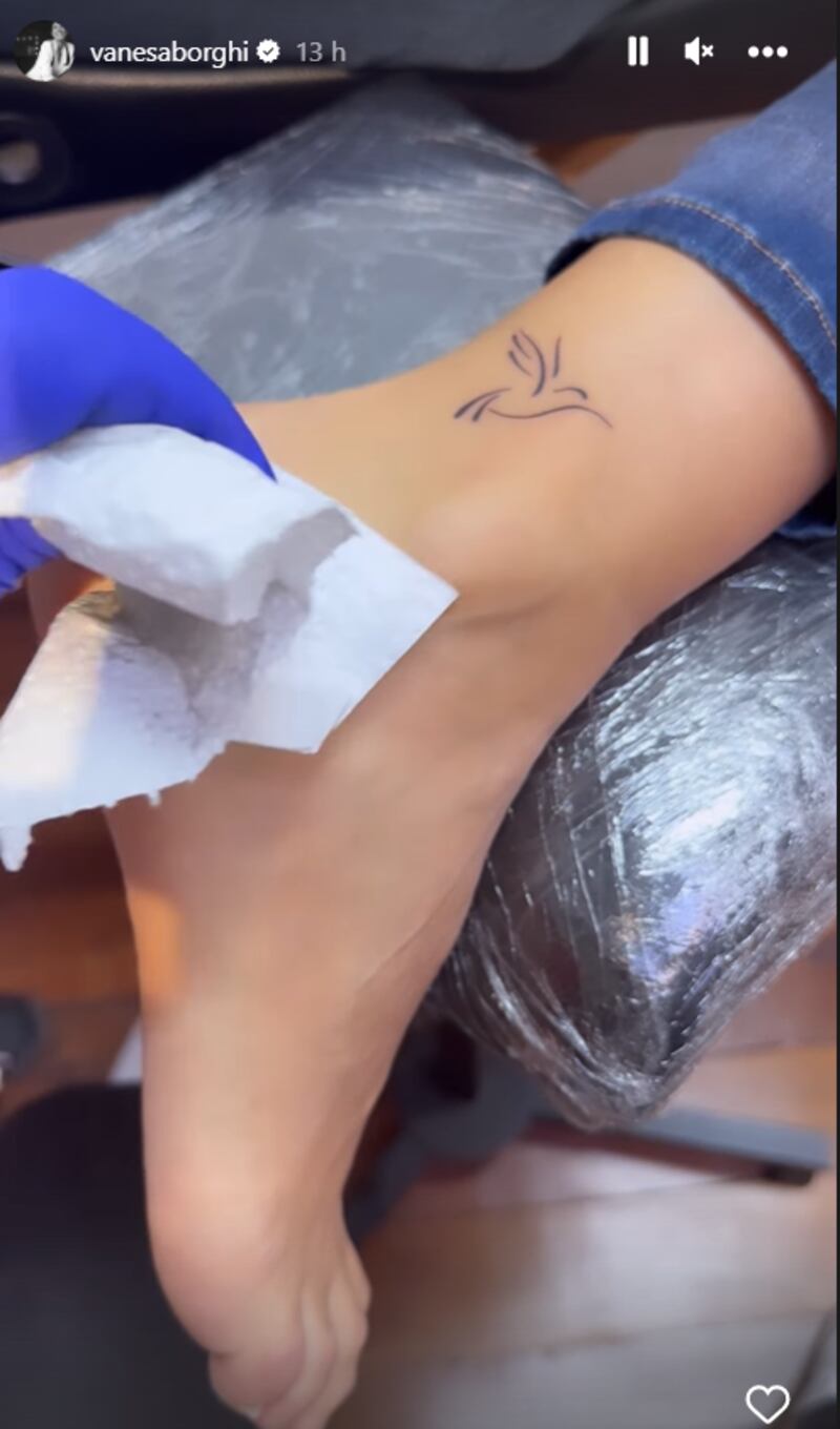 Historia de Vanesa Borghi | Instagram