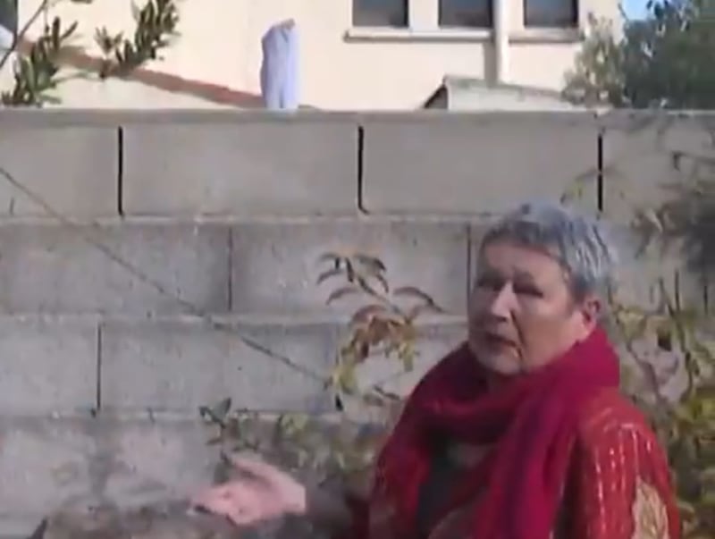 Rémi, el gato francés denunciado