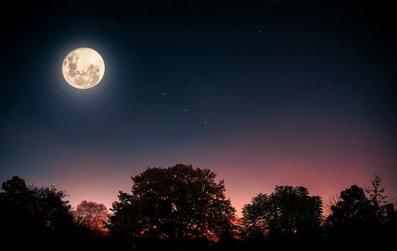 Luna llena Rosa