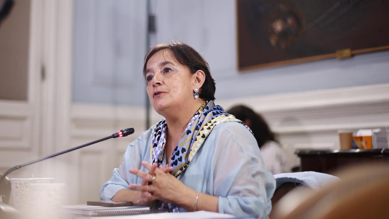 Senadora Aravena valoró aprobación de Ley de Armonización sobre Infancia y Adolescencia